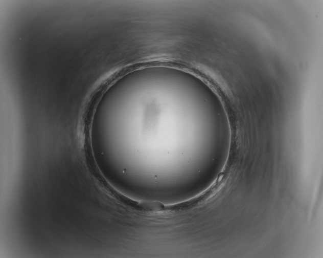 X0000102511406200808081400