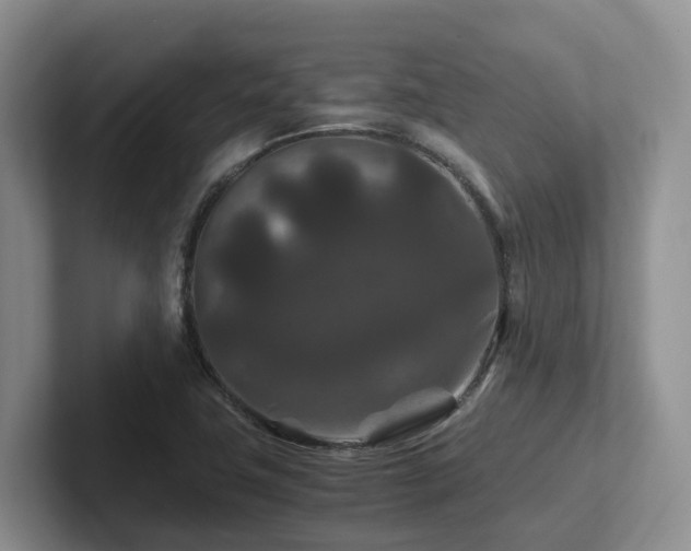 X0000102511411200808081400