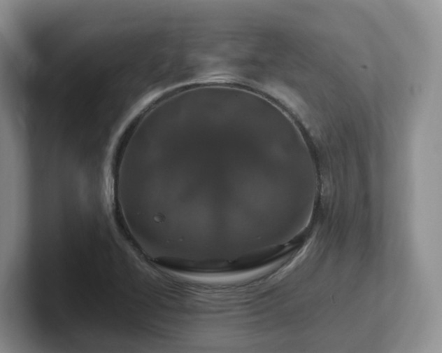 X0000102511414200808081400