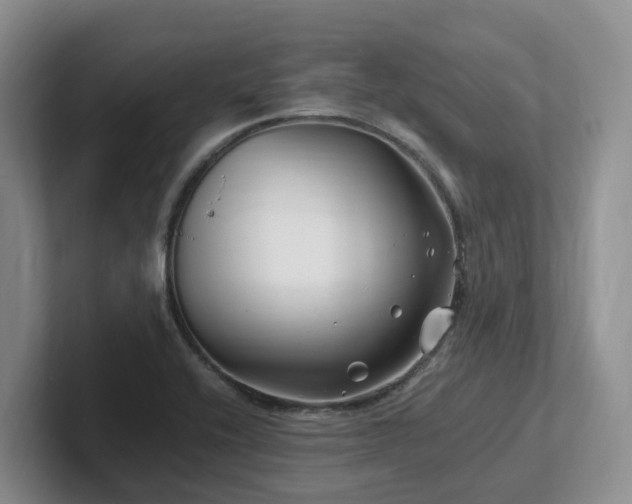 X0000102511416200808081400