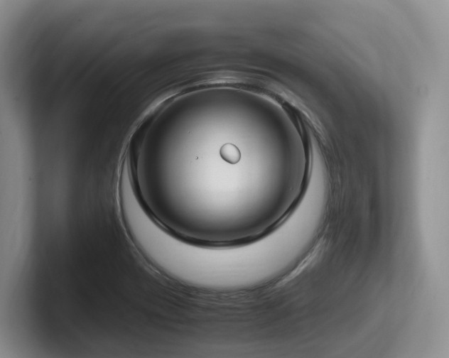 X0000102511417200808081400
