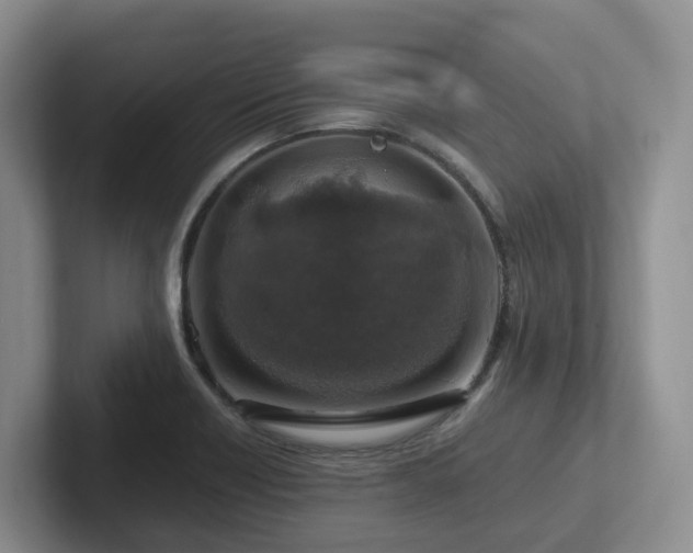 X0000102511418200808081400
