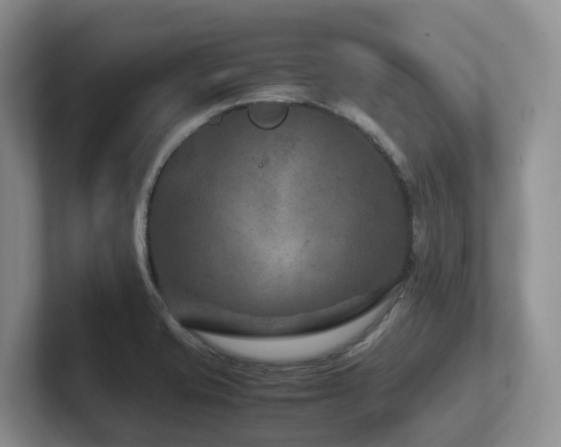 X0000102511421200808081400