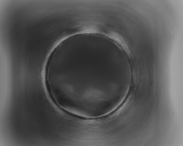 X0000102511422200808081400