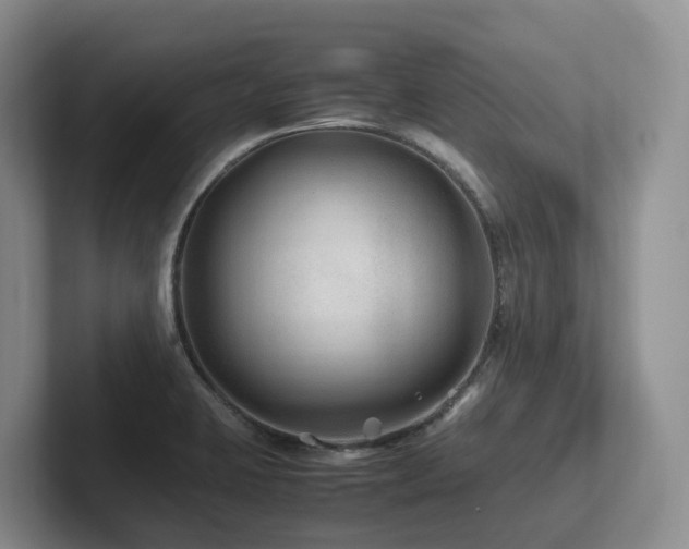 X0000102511423200808081400