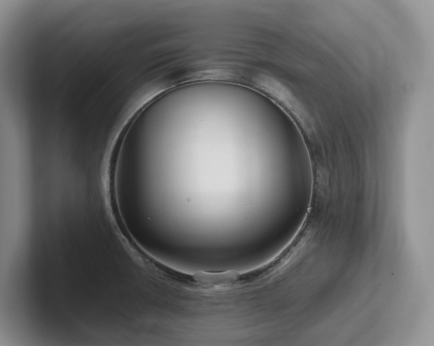 X0000102511426200808081400