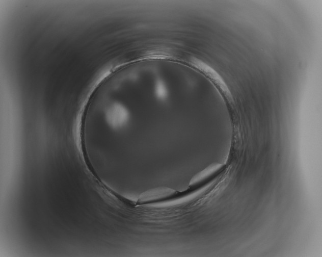 X0000102511427200808081400