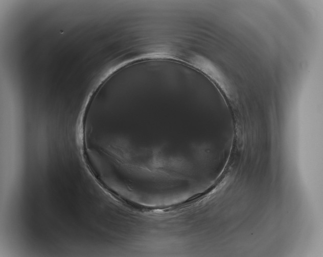 X0000102511428200808081400