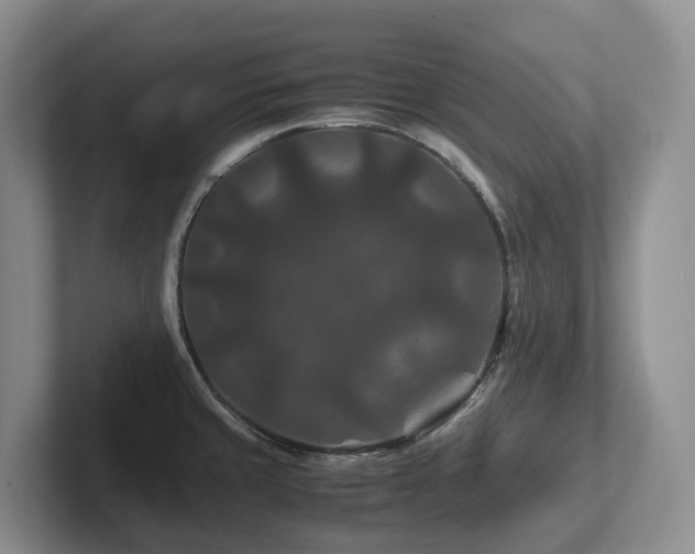 X0000102511429200808081400