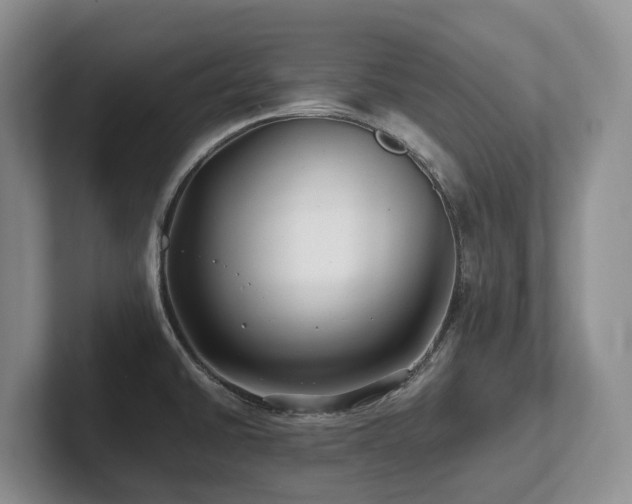 X0000102511430200808081400