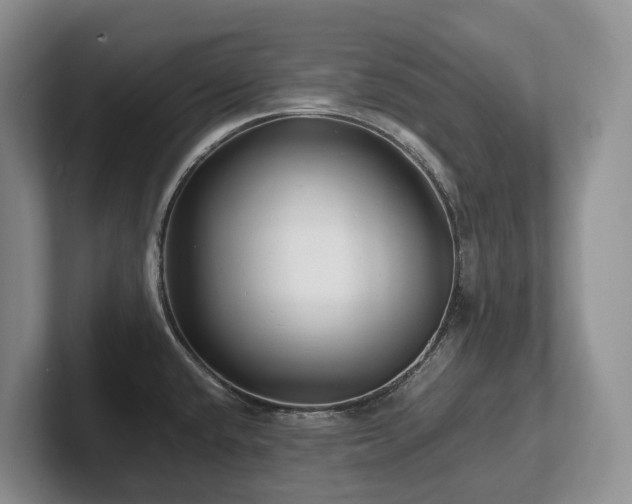 X0000102511432200808081400
