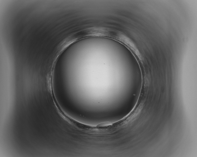 X0000102511433200808081400