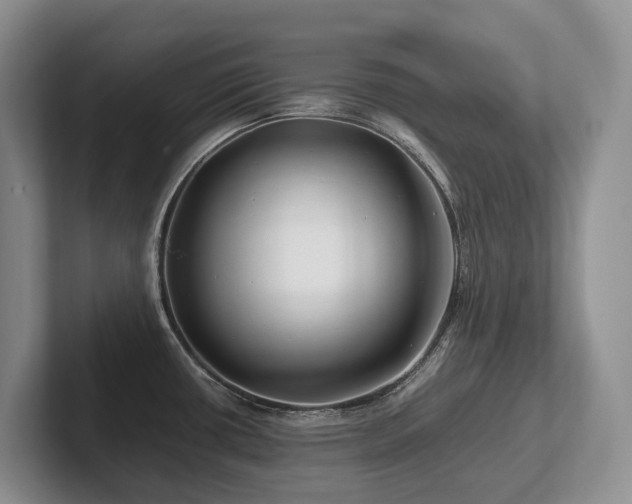 X0000102511434200808081400