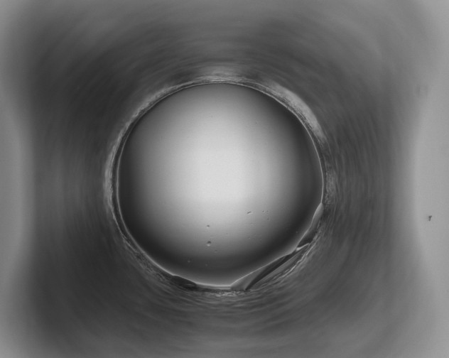 X0000102511435200808081400
