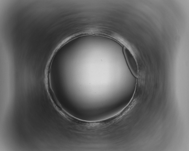 X0000102511437200808081401