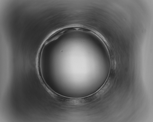X0000102511438200808081401