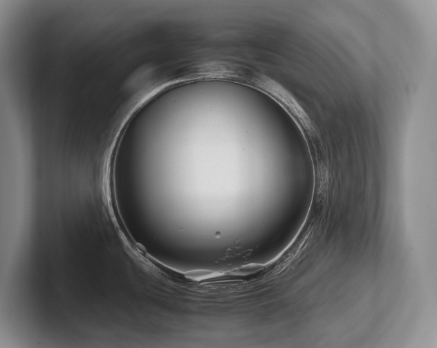 X0000102511439200808081401