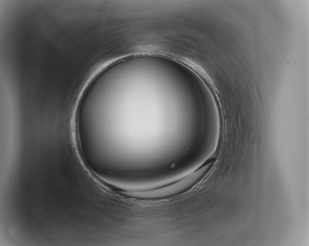 X0000102511440200808081401