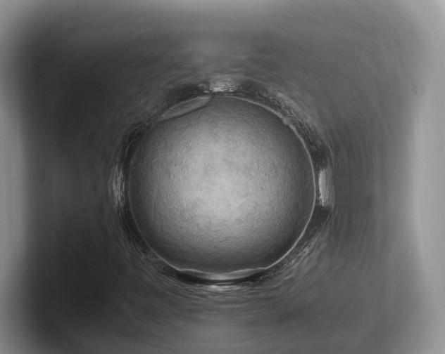 X0000102511443200808081400