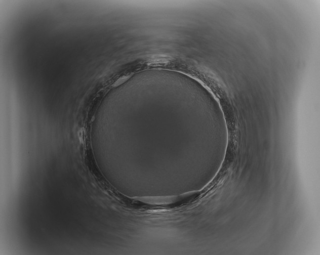 X0000102511445200808081400
