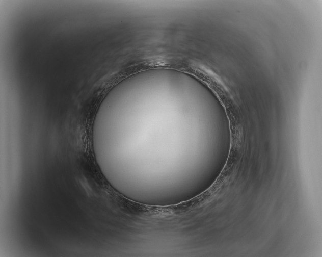 X0000102511446200808081400