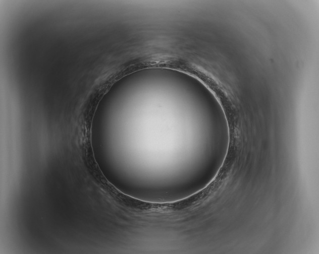 X0000102511447200808081400