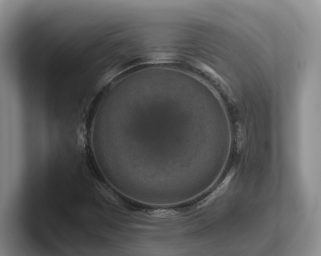 X0000102511449200808081400