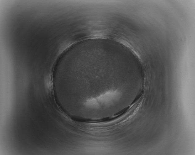 X0000102511450200808081400