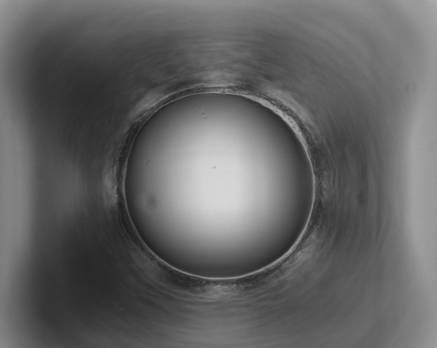 X0000102511451200808081400