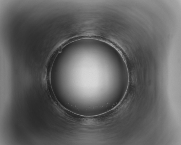 X0000102511452200808081400