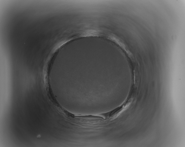 X0000102511453200808081400