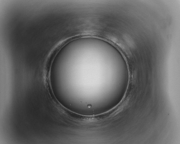 X0000102511454200808081400