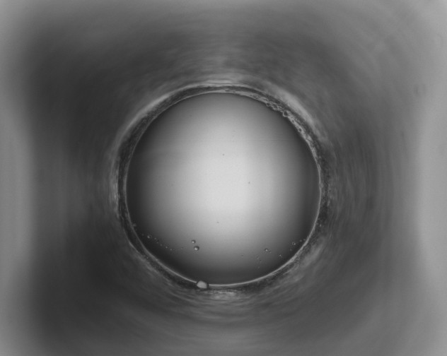 X0000102511456200808081400