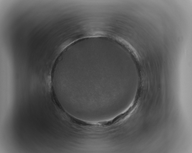 X0000102511457200808081400