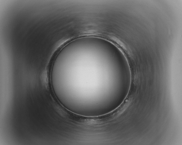 X0000102511458200808081400