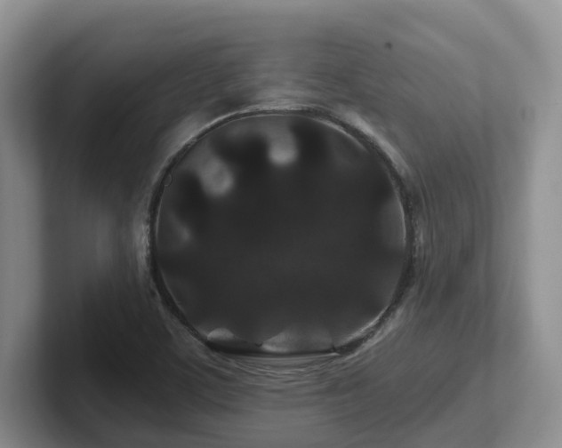 X0000102511459200808081400