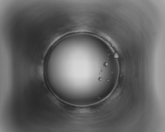 X0000102511460200808081400