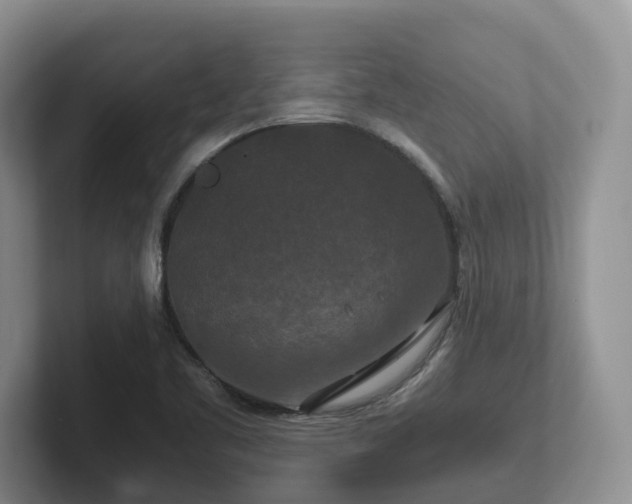 X0000102511461200808081400