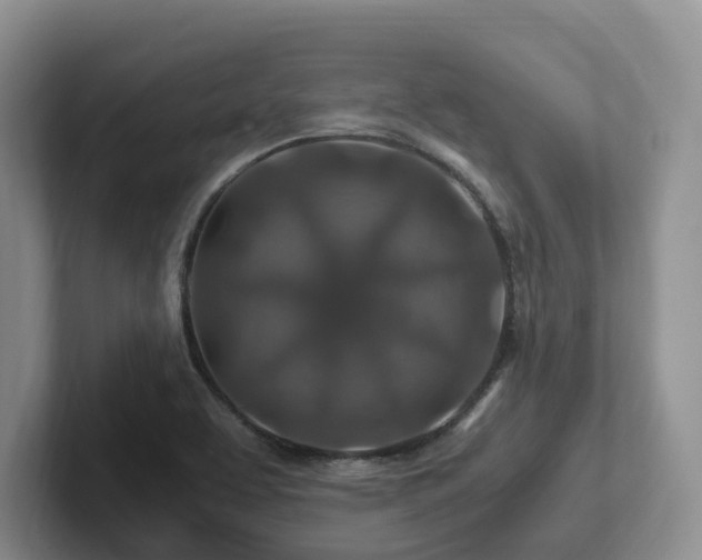 X0000102511463200808081359