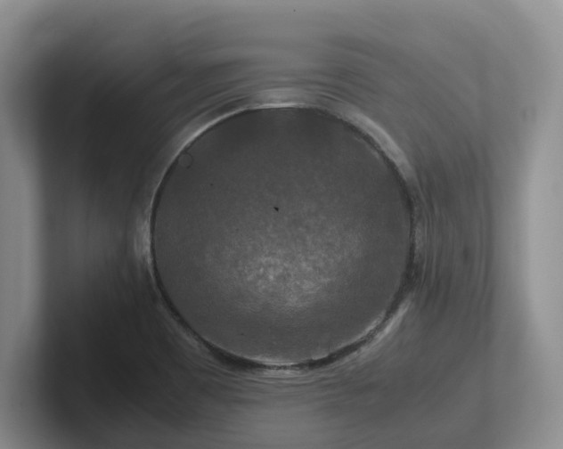 X0000102511465200808081359