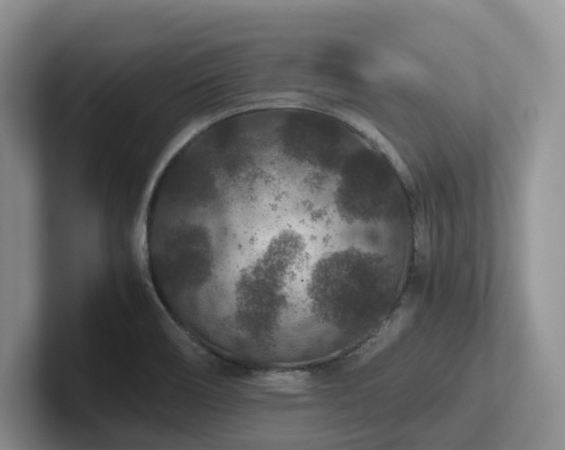 X0000102511466200808081359