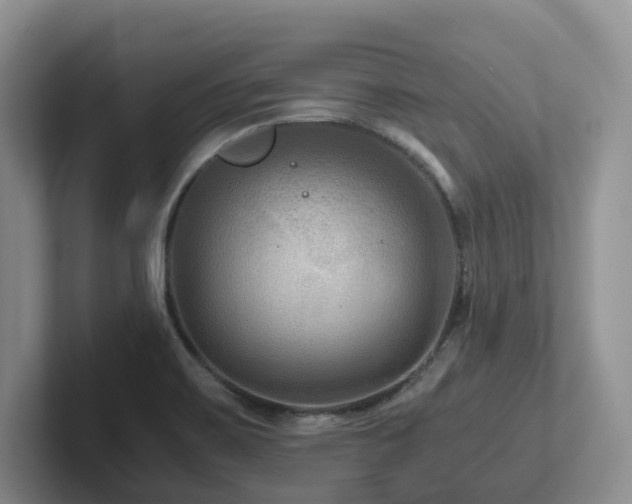 X0000102511467200808081359