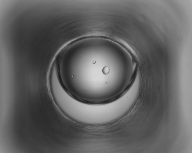 X0000102511468200808081359