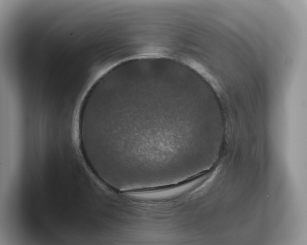 X0000102511469200808081359