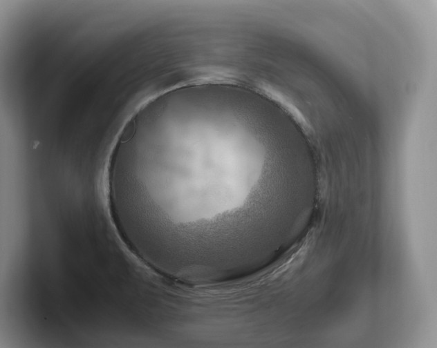 X0000102511471200808081359