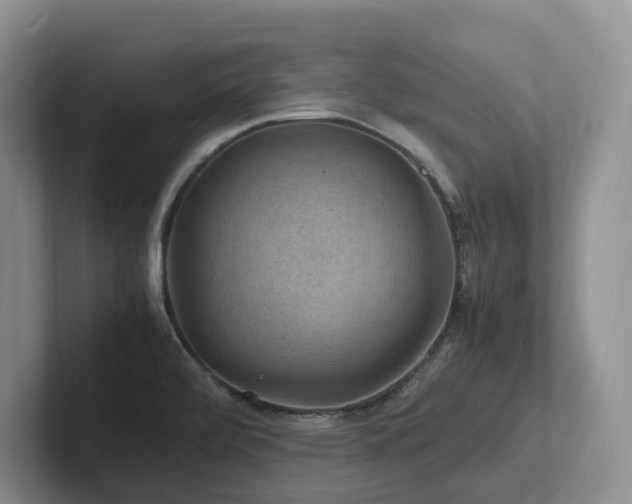 X0000102511472200808081359