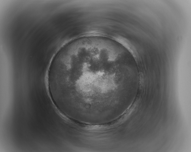 X0000102511474200808081359