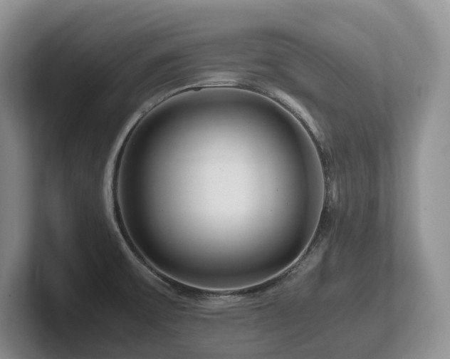 X0000102511475200808081359