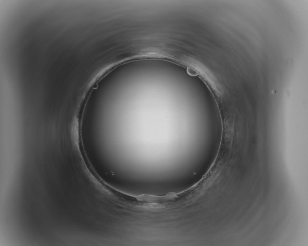 X0000102511476200808081359