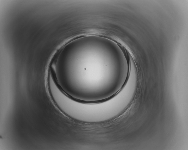 X0000102511477200808081359